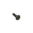 Screw-SS-1/4-20 X 3/4 Inch