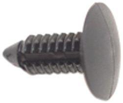 Ratchet Fastener
