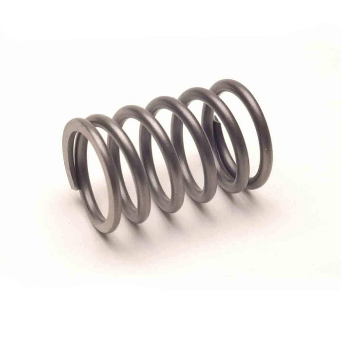 Engine Valve Spring