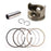 Piston Ring Set for 295CC Engine